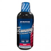 Liquid L-Carnitine (31 Servings)